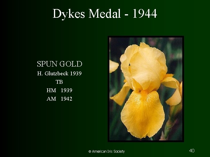 Dykes Medal - 1944 SPUN GOLD H. Glutzbeck 1939 TB HM 1939 AM 1942