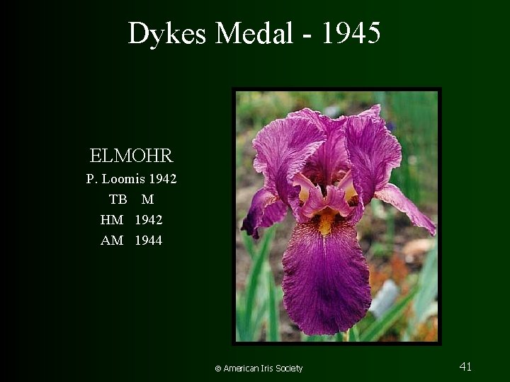 Dykes Medal - 1945 ELMOHR P. Loomis 1942 TB M HM 1942 AM 1944