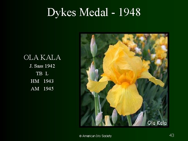 Dykes Medal - 1948 OLA KALA J. Sass 1942 TB L HM 1943 AM