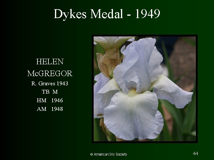Dykes Medal - 1949 HELEN Mc. GREGOR R. Graves 1943 TB M HM 1946