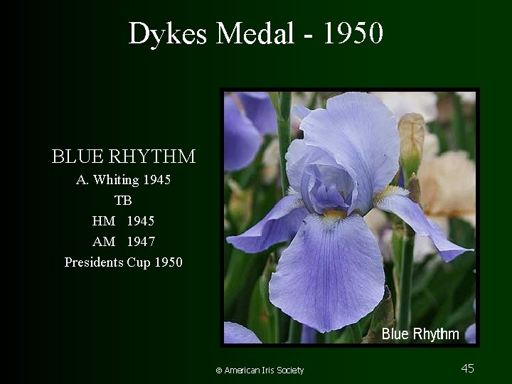 Dykes Medal - 1950 BLUE RHYTHM A. Whiting 1945 TB HM 1945 AM 1947