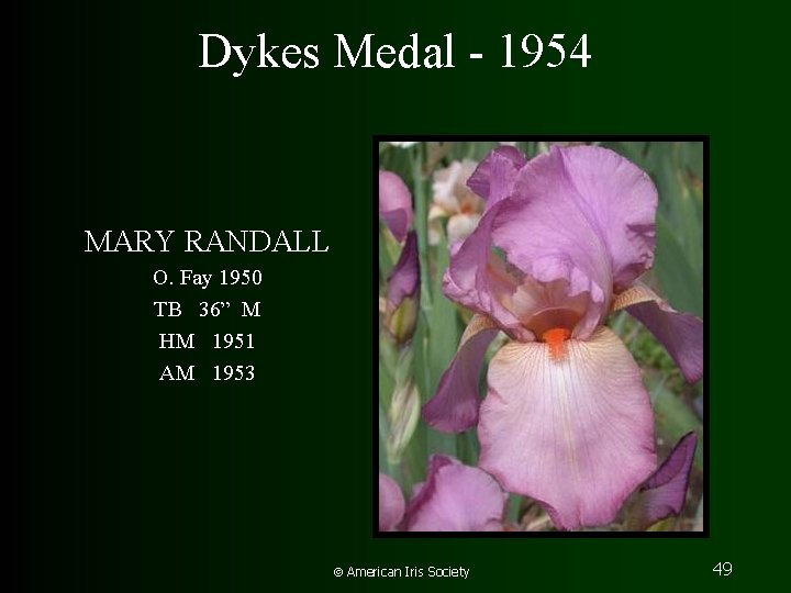 Dykes Medal - 1954 MARY RANDALL O. Fay 1950 TB 36” M HM 1951