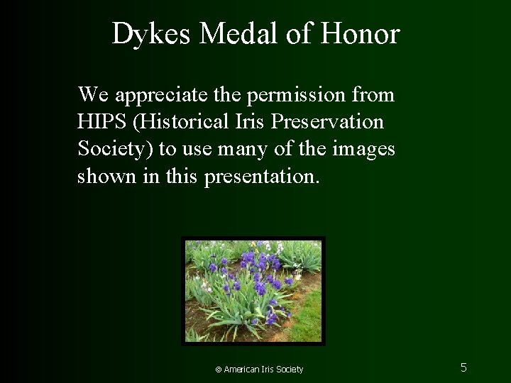 Dykes Medal of Honor We appreciate the permission from HIPS (Historical Iris Preservation Society)