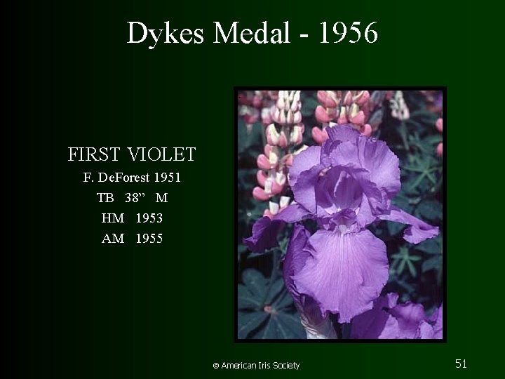 Dykes Medal - 1956 FIRST VIOLET F. De. Forest 1951 TB 38” M HM