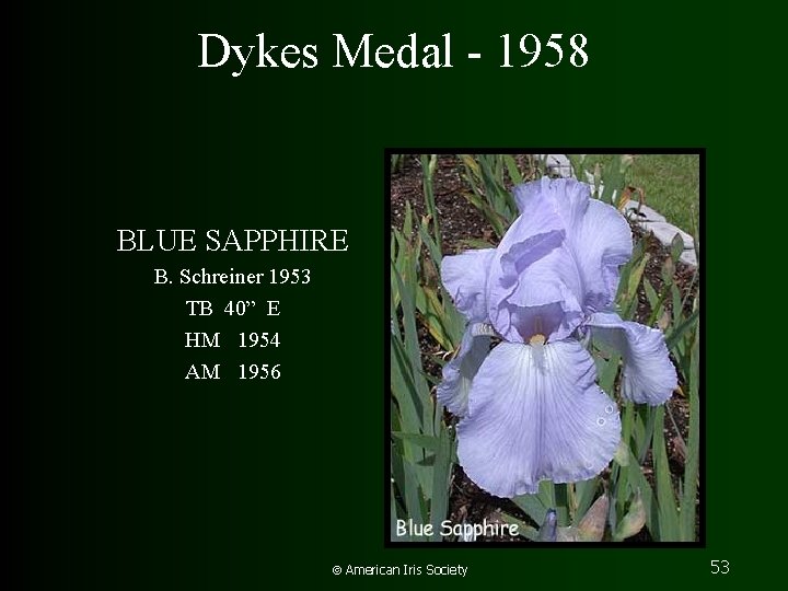 Dykes Medal - 1958 BLUE SAPPHIRE B. Schreiner 1953 TB 40” E HM 1954