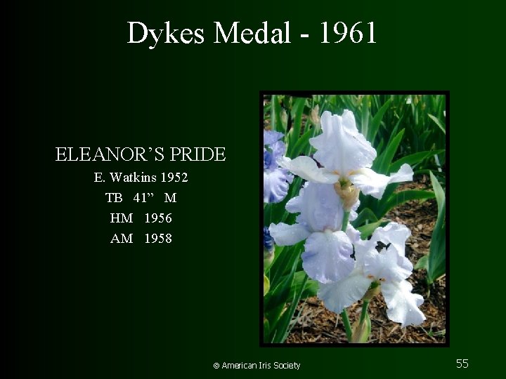 Dykes Medal - 1961 ELEANOR’S PRIDE E. Watkins 1952 TB 41” M HM 1956