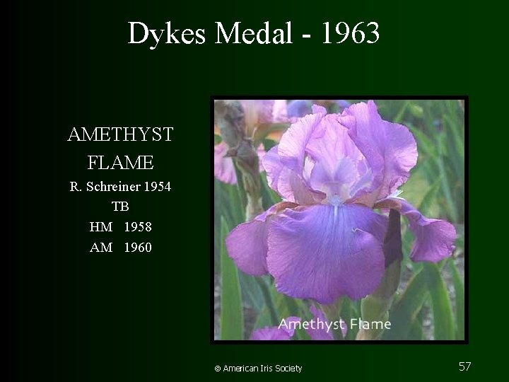 Dykes Medal - 1963 AMETHYST FLAME R. Schreiner 1954 TB HM 1958 AM 1960