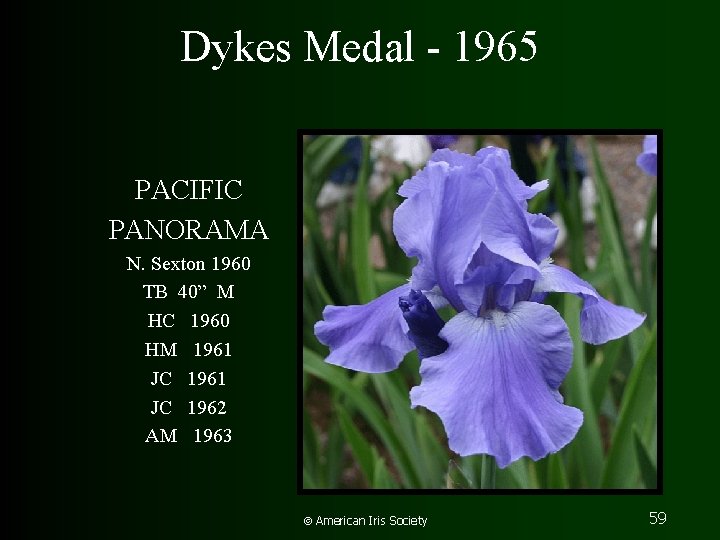 Dykes Medal - 1965 PACIFIC PANORAMA N. Sexton 1960 TB 40” M HC 1960