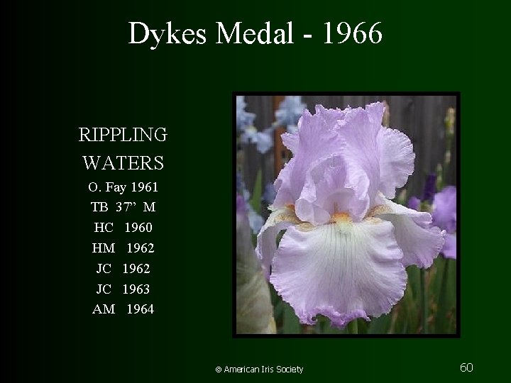 Dykes Medal - 1966 RIPPLING WATERS O. Fay 1961 TB 37” M HC 1960
