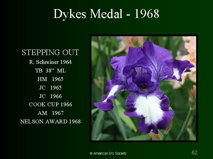 Dykes Medal - 1968 STEPPING OUT R. Schreiner 1964 TB 38” ML HM 1965