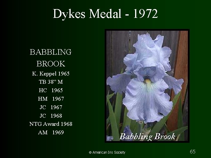 Dykes Medal - 1972 BABBLING BROOK K. Keppel 1965 TB 38” M HC 1965