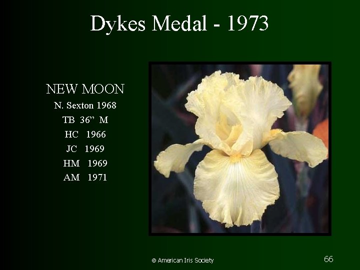 Dykes Medal - 1973 NEW MOON N. Sexton 1968 TB 36” M HC 1966