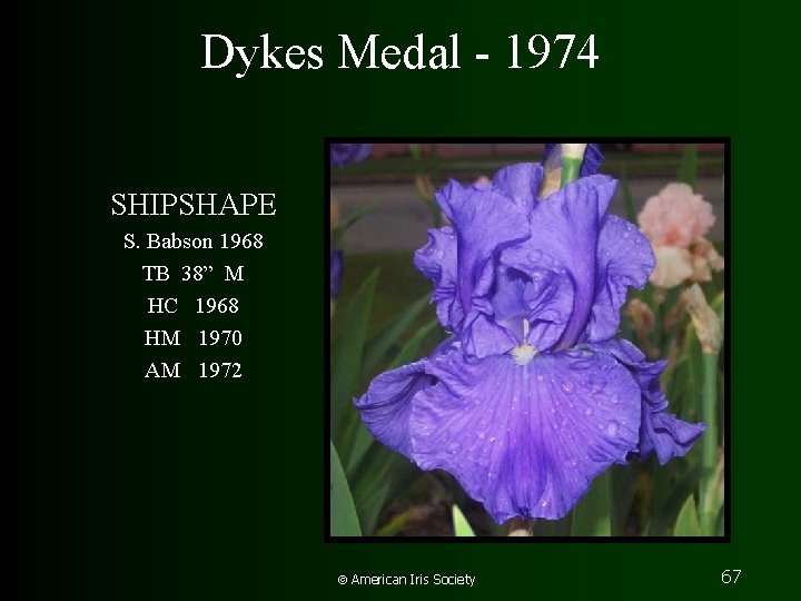 Dykes Medal - 1974 SHIPSHAPE S. Babson 1968 TB 38” M HC 1968 HM