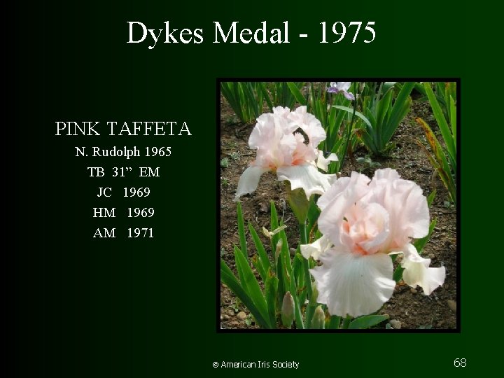 Dykes Medal - 1975 PINK TAFFETA N. Rudolph 1965 TB 31” EM JC 1969