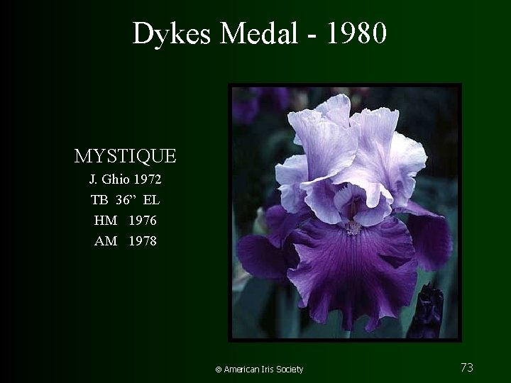 Dykes Medal - 1980 MYSTIQUE J. Ghio 1972 TB 36” EL HM 1976 AM