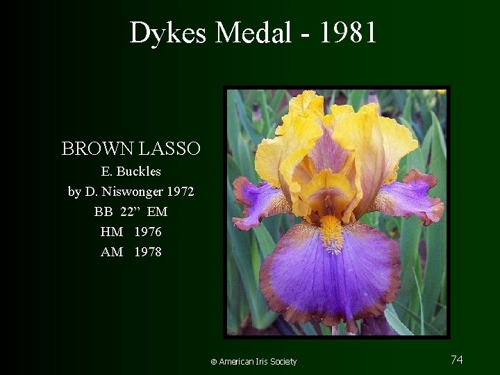 Dykes Medal - 1981 BROWN LASSO E. Buckles by D. Niswonger 1972 BB 22”