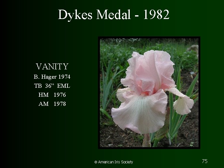 Dykes Medal - 1982 VANITY B. Hager 1974 TB 36” EML HM 1976 AM