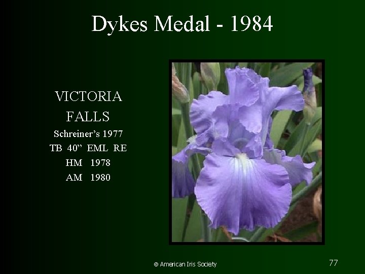 Dykes Medal - 1984 VICTORIA FALLS Schreiner’s 1977 TB 40” EML RE HM 1978