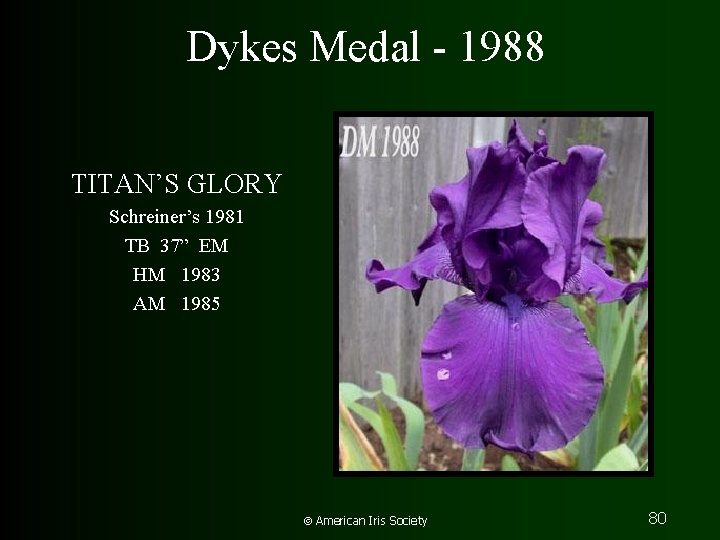 Dykes Medal - 1988 TITAN’S GLORY Schreiner’s 1981 TB 37” EM HM 1983 AM
