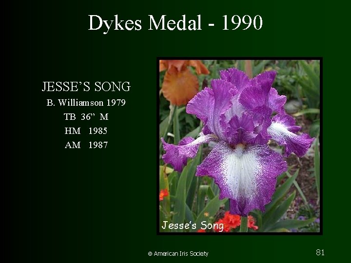 Dykes Medal - 1990 JESSE’S SONG B. Williamson 1979 TB 36” M HM 1985