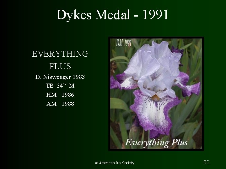 Dykes Medal - 1991 EVERYTHING PLUS D. Niswonger 1983 TB 34” M HM 1986