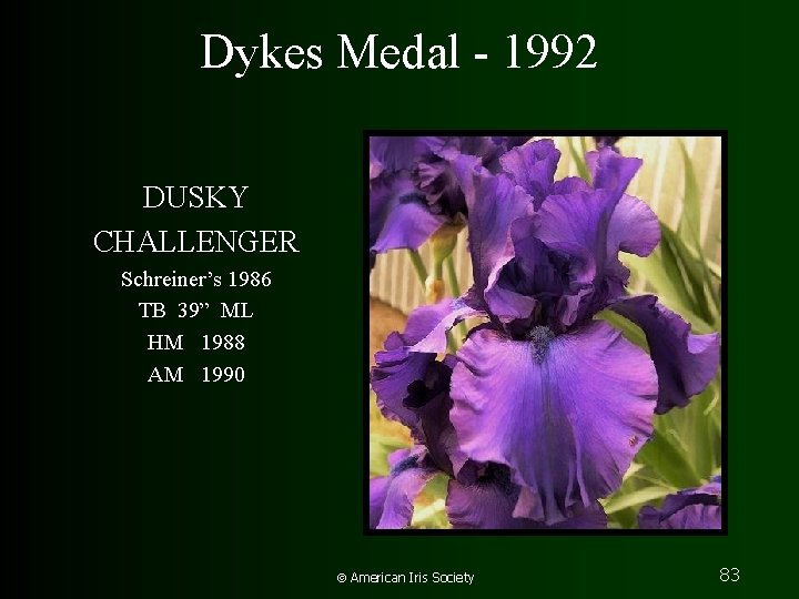 Dykes Medal - 1992 DUSKY CHALLENGER Schreiner’s 1986 TB 39” ML HM 1988 AM