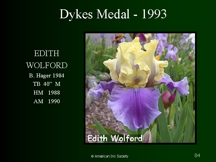 Dykes Medal - 1993 EDITH WOLFORD B. Hager 1984 TB 40” M HM 1988