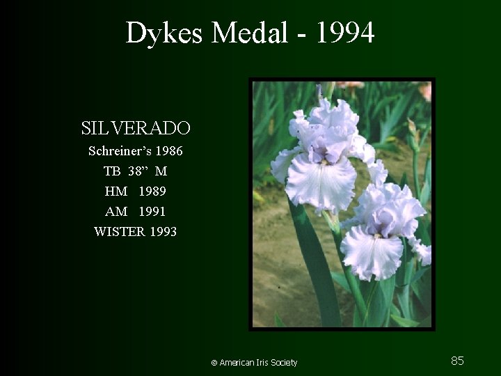 Dykes Medal - 1994 SILVERADO Schreiner’s 1986 TB 38” M HM 1989 AM 1991