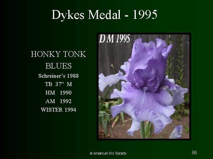 Dykes Medal - 1995 HONKY TONK BLUES Schreiner’s 1988 TB 37” M HM 1990