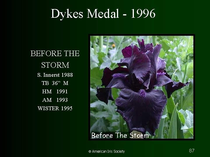 Dykes Medal - 1996 BEFORE THE STORM S. Innerst 1988 TB 36” M HM