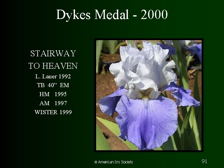 Dykes Medal - 2000 STAIRWAY TO HEAVEN L. Lauer 1992 TB 40” EM HM