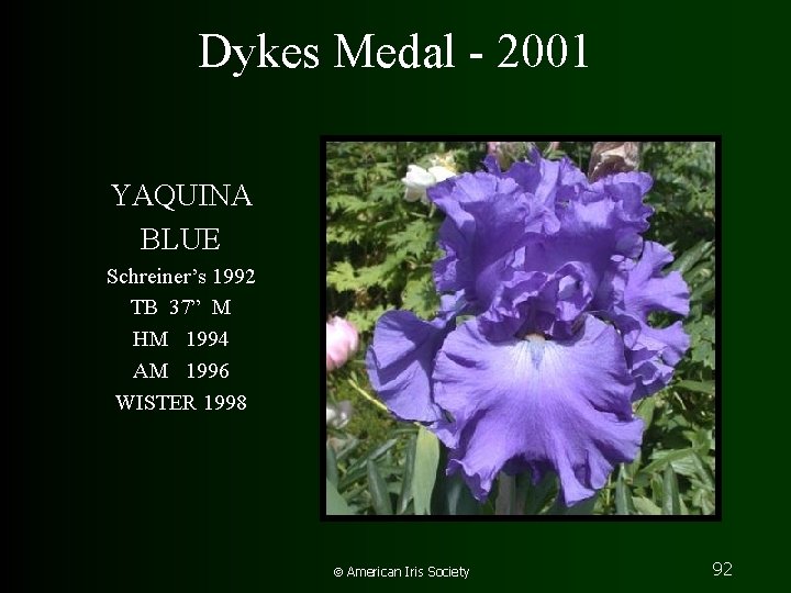 Dykes Medal - 2001 YAQUINA BLUE Schreiner’s 1992 TB 37” M HM 1994 AM