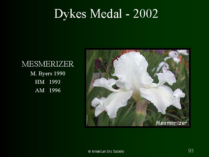 Dykes Medal - 2002 MESMERIZER M. Byers 1990 HM 1993 AM 1996 American Iris