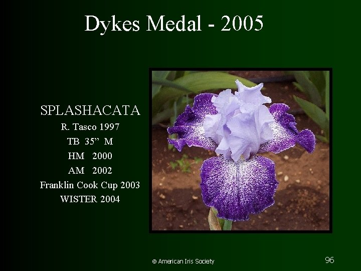 Dykes Medal - 2005 SPLASHACATA R. Tasco 1997 TB 35” M HM 2000 AM