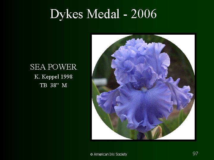 Dykes Medal - 2006 SEA POWER K. Keppel 1998 TB 38” M American Iris