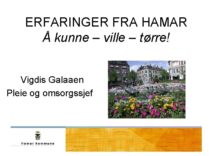 ERFARINGER FRA HAMAR Å kunne – ville – tørre! Vigdis Galaaen Pleie og omsorgssjef ERFARINGER FRA HAMAR Å kunne – ville – tørre! Vigdis Galaaen Pleie og omsorgssjef