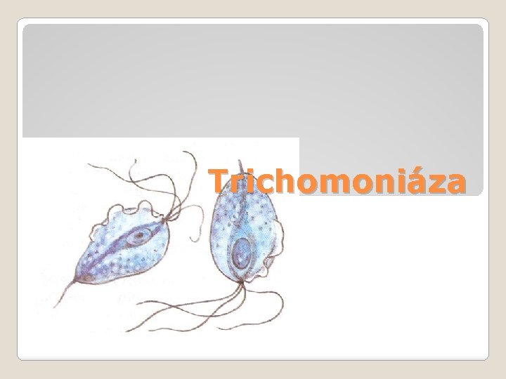 Trichomoniáza 