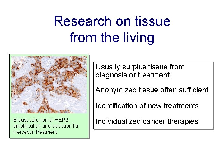 Research on tissue from the living Usually surplus tissue from diagnosis or treatment Anonymized
