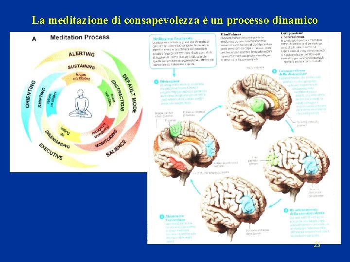 La meditazione di consapevolezza è un processo dinamico 23 