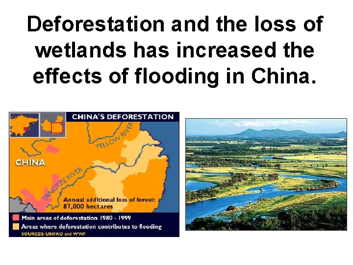 Deforestation and the loss of wetlands has increased the effects of flooding in China.
