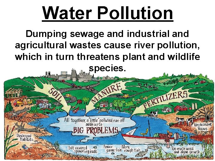 Water Pollution Dumping sewage and industrial and agricultural wastes cause river pollution, which in