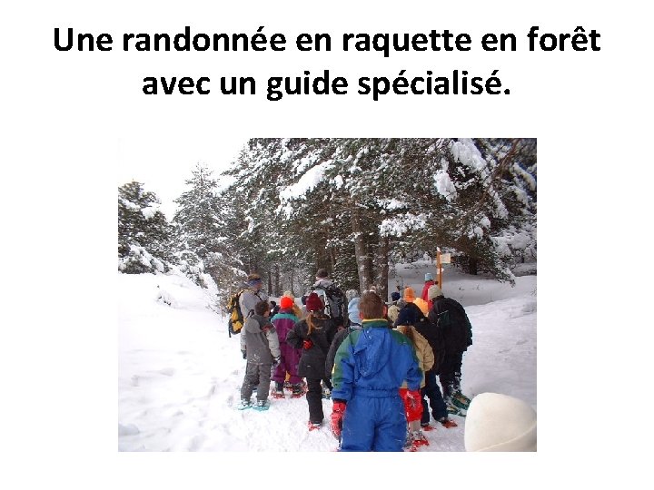 Une randonnée en raquette en forêt avec un guide spécialisé. 