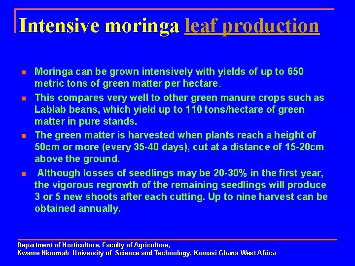 Intensive moringa leaf production n n Moringa can be grown intensively with yields of