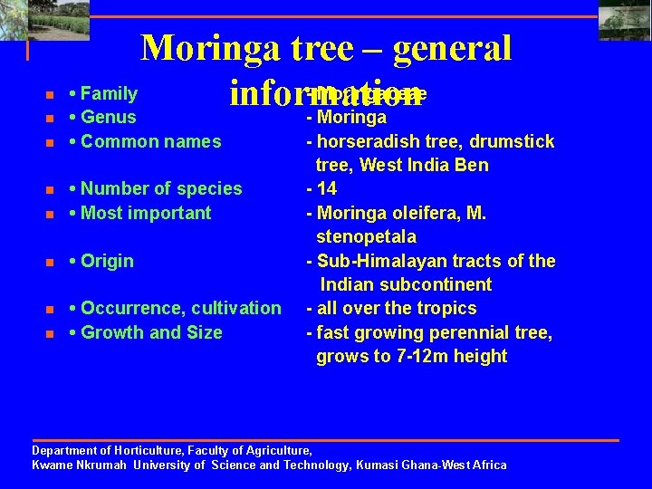 n Moringa tree – general • Family - Moringaceae information • Genus - Moringa