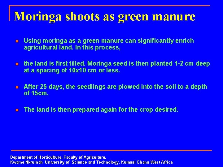Moringa shoots as green manure n Using moringa as a green manure can significantly