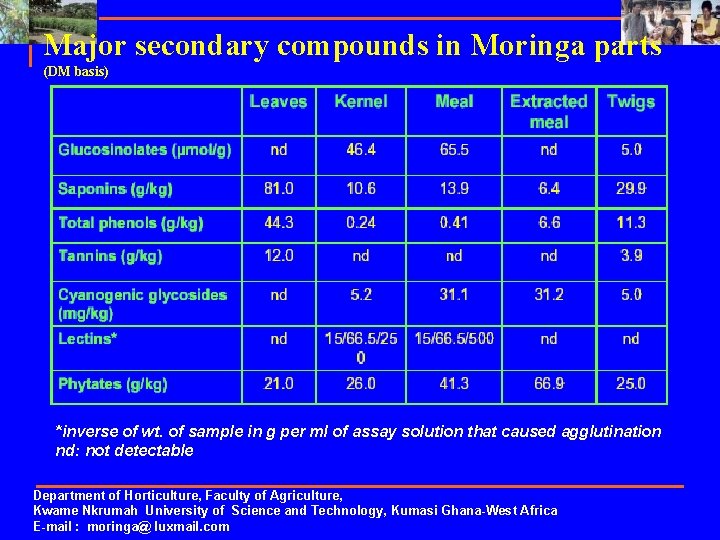 Major secondary compounds in Moringa parts (DM basis) *inverse of wt. of sample in