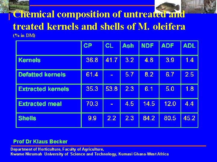 Chemical composition of untreated and treated kernels and shells of M. oleifera (% in