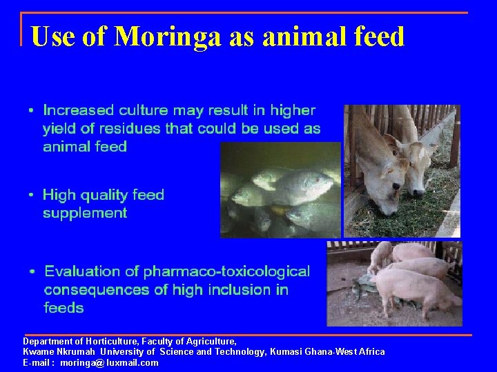 Use of Moringa as animal feed Department of Horticulture, Faculty of Agriculture, Kwame Nkrumah