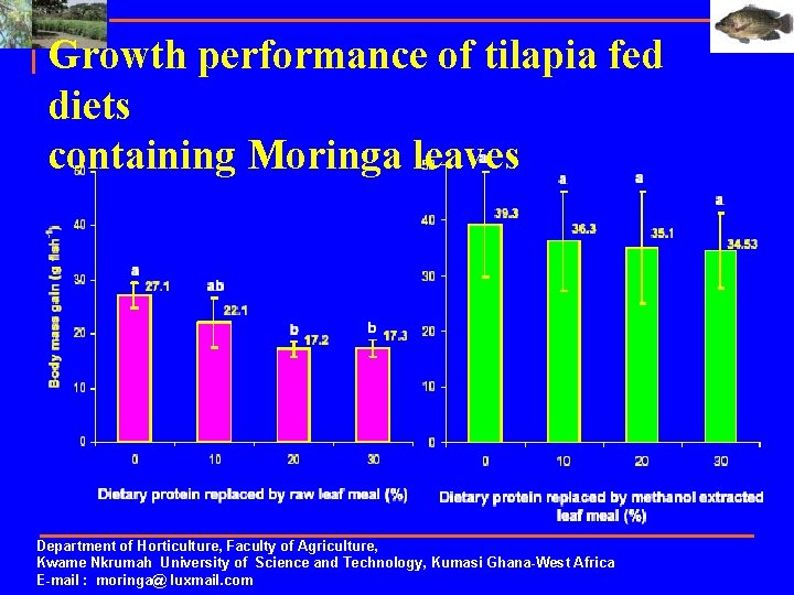 Growth performance of tilapia fed diets containing Moringa leaves Department of Horticulture, Faculty of