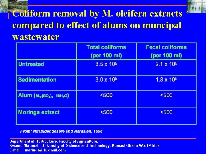 Coliform removal by M. oleifera extracts compared to effect of alums on muncipal wastewater